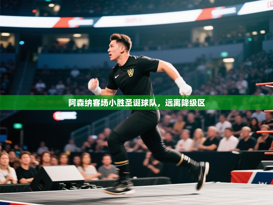 开云体育账号申诉通道-阿森纳客场小胜圣诞球队,远离降级区  第2张
