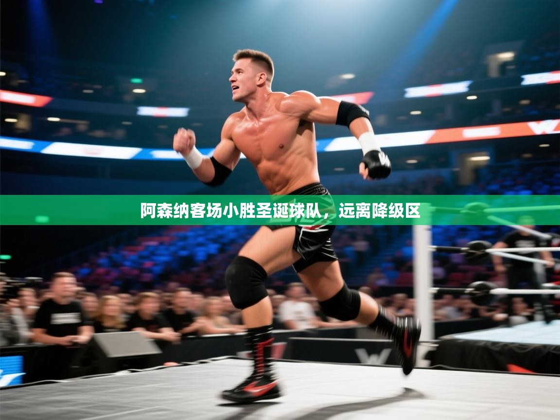 开云体育账号申诉通道-阿森纳客场小胜圣诞球队,远离降级区  第1张