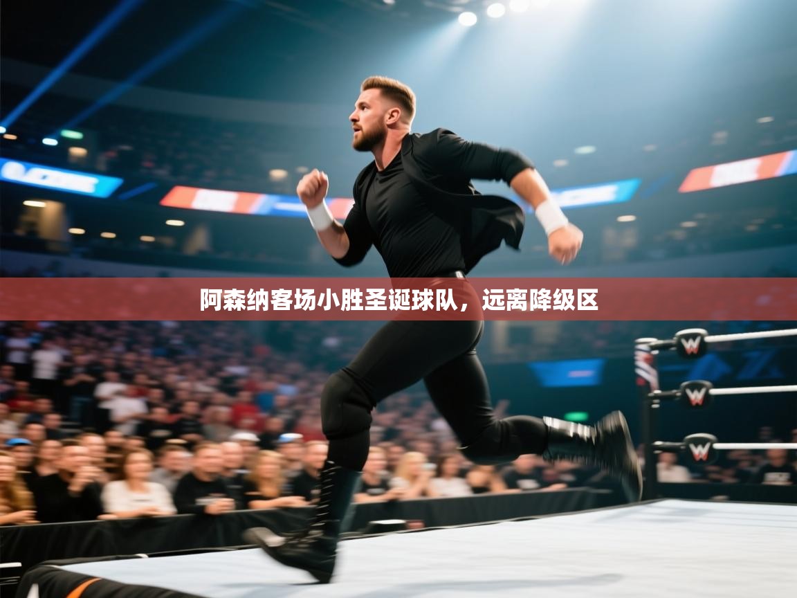 开云体育账号申诉通道-阿森纳客场小胜圣诞球队,远离降级区  第4张