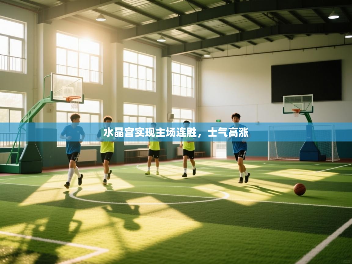 云开体育官网入口登录网页-水晶宫实现主场连胜，士气高涨  第4张