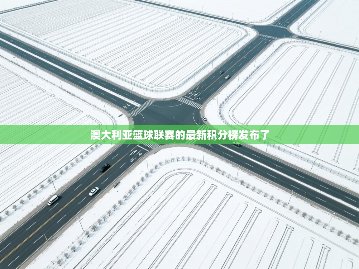 开云体育直播平台-澳大利亚篮球联赛的最新积分榜发布了 第2张