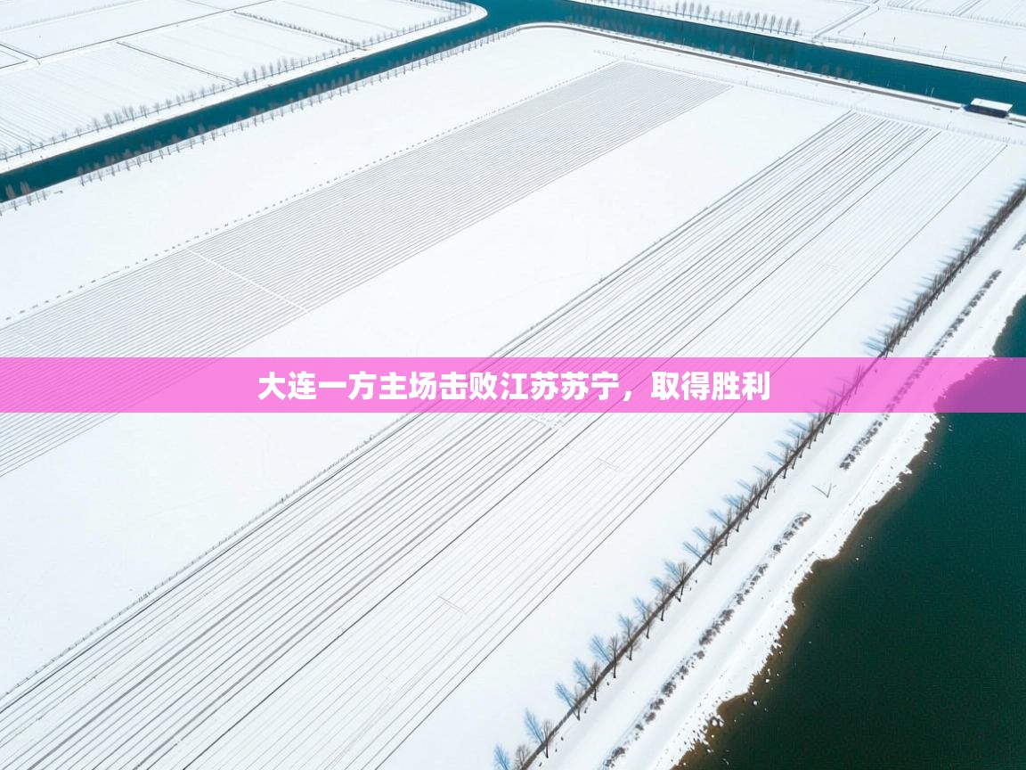 开云·体育kaiyun官方网站_kaiyun sports-大连一方主场击败江苏苏宁,取得胜利 第2张