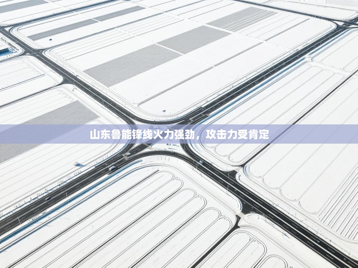 -山东鲁能锋线火力强劲，攻击力受肯定  第2张