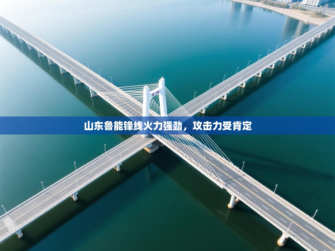 -山东鲁能锋线火力强劲，攻击力受肯定  第3张
