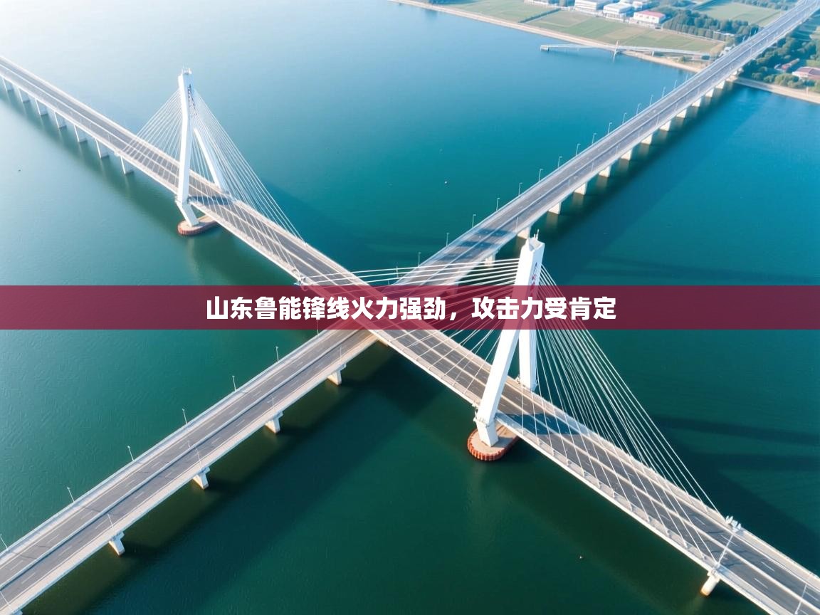 -山东鲁能锋线火力强劲，攻击力受肯定  第4张