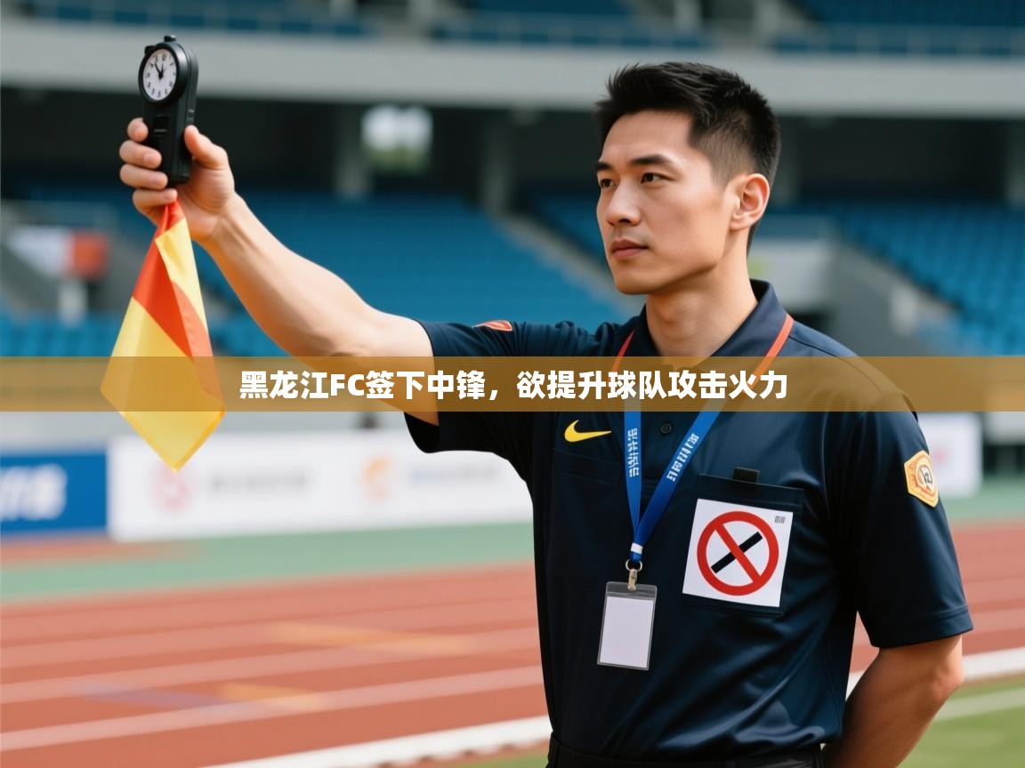 开云邀请码-黑龙江FC签下中锋,欲提升球队攻击火力 第2张