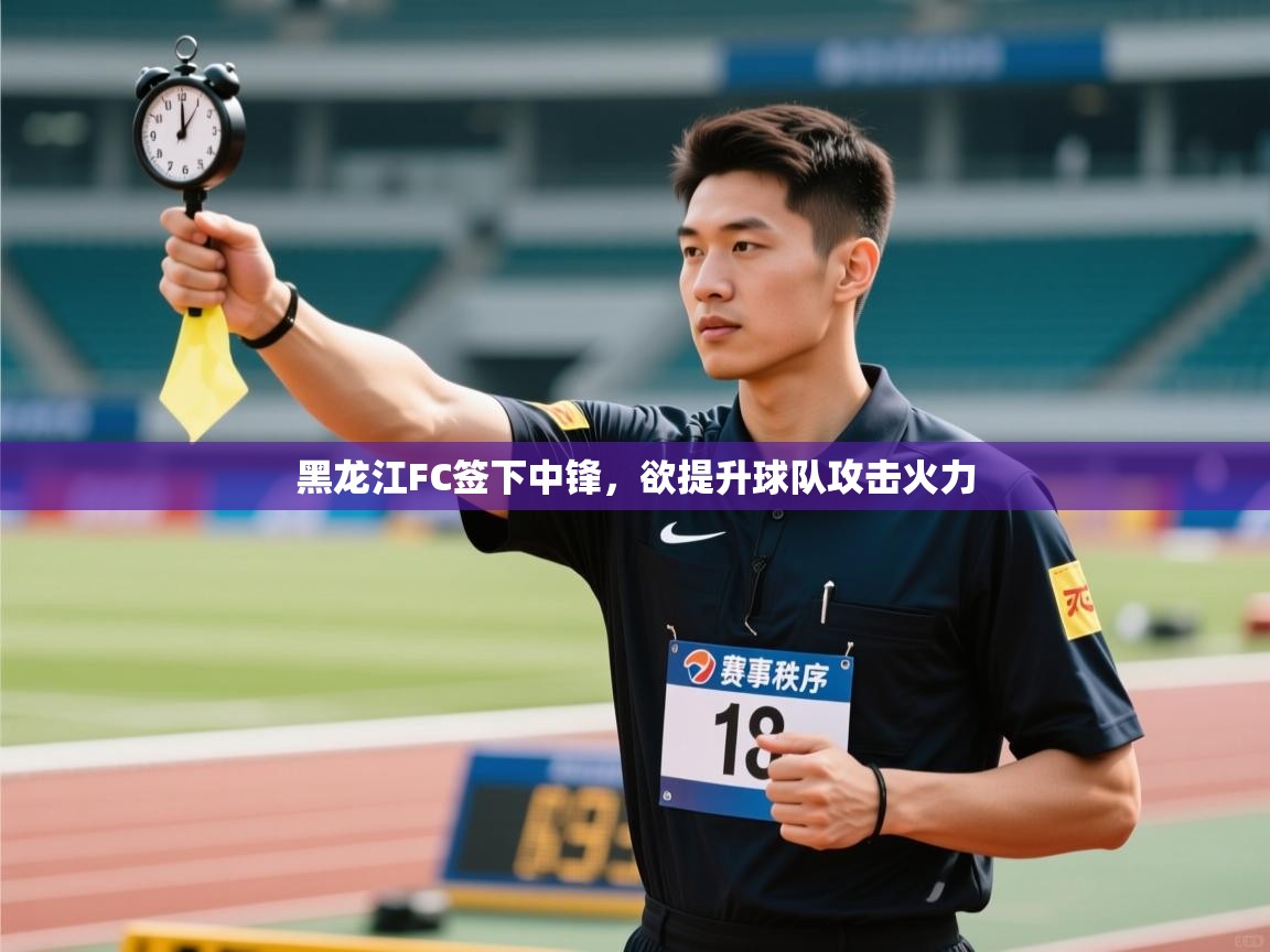 开云邀请码-黑龙江FC签下中锋,欲提升球队攻击火力 第4张